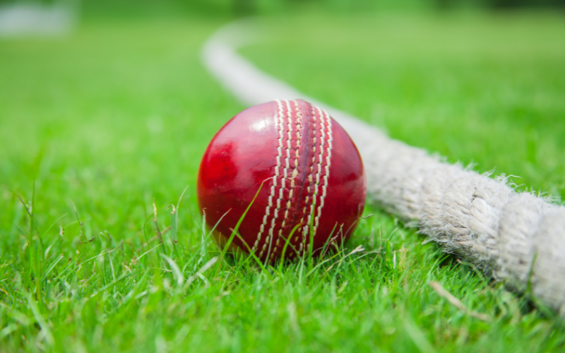 india cricket world cup win